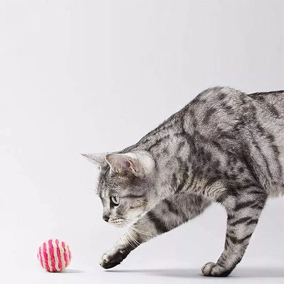 Rope Ball Plaything Chew Soft Plush Dog & Cat Toy for Fun and Play - Picture 7 of 10